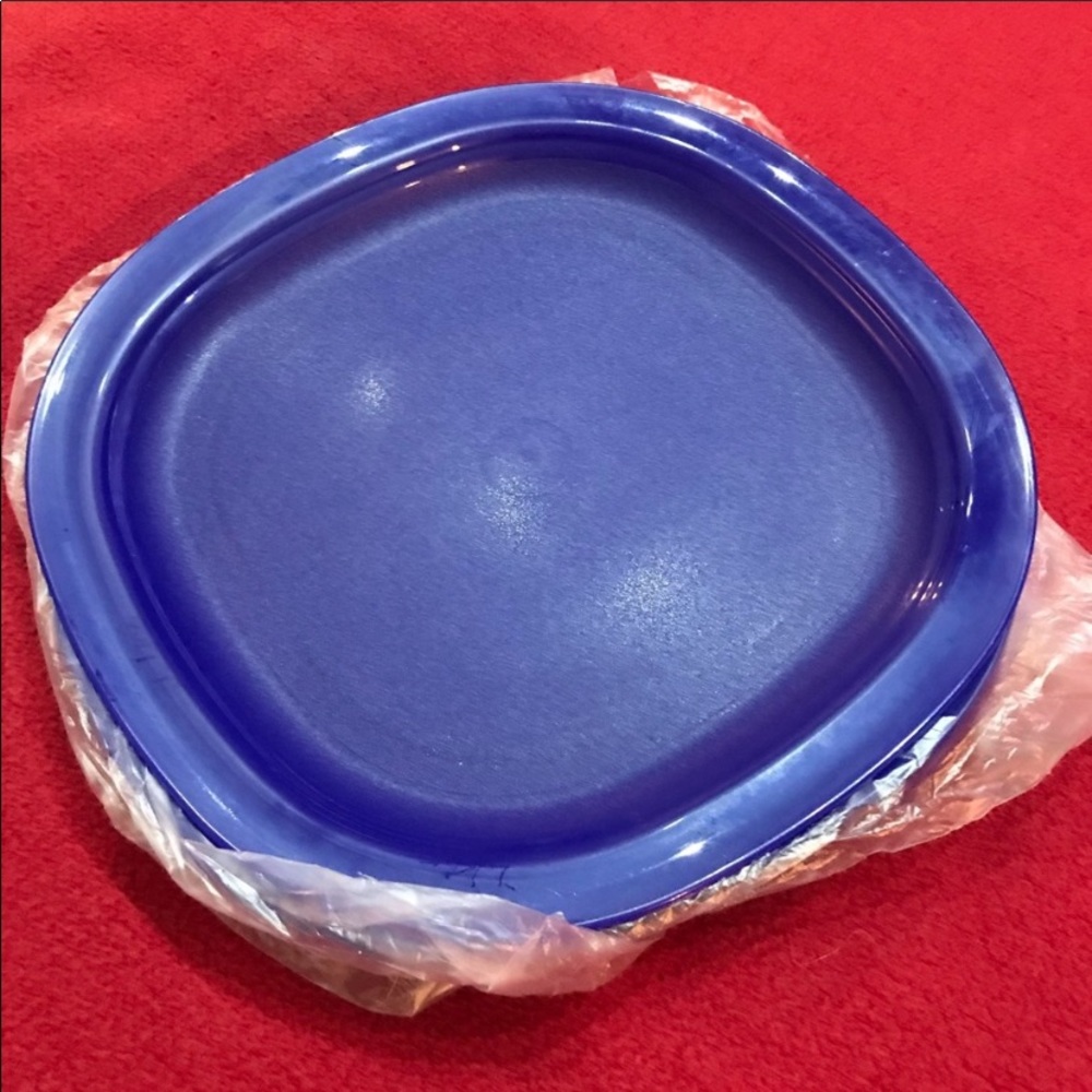 Tupperware Luncheon plates! Set of 4